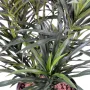 DRACENA artificiel (ou DRACAENA) ANITA 75 cm - vu dessus