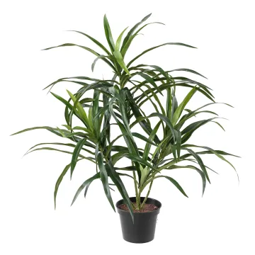Dracaena artificiel ignifugé 45cm
