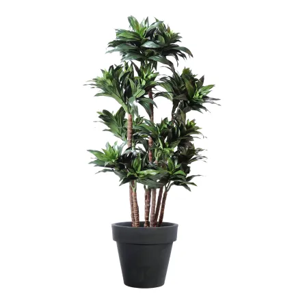 DRACENA artificiel (ou DRACAENA) FRAGANS Compacta 120 cm en pot