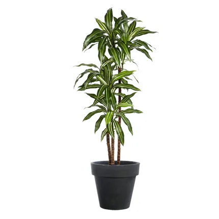 DRACENA artificiel (ou DRACAENA) fragans arbre 120 et 150 cm - en pot