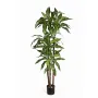 DRACENA artificiel (ou DRACAENA) fragans arbre 120 et 150 cm