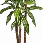DRACENA artificiel (ou DRACAENA) fragans arbre 120 et 150 cm - tronc