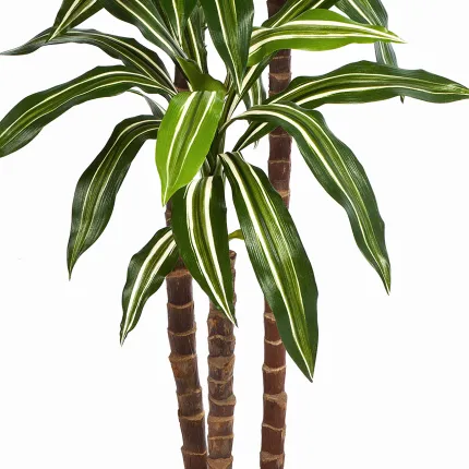 DRACENA artificiel (ou DRACAENA) fragans arbre 120 et 150 cm - tronc