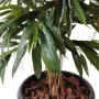 FICUS artificiel ALII bush royal 160 et 190 cm - vu de dessus