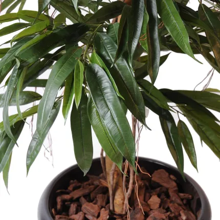 FICUS artificiel ALII bush royal 160 et 190 cm - vu de dessus