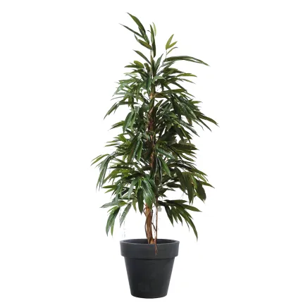 FICUS artificiel ALII bush royal 160 cm