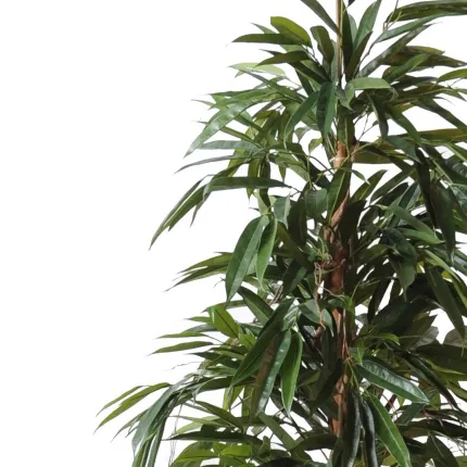 FICUS artificiel ALII bush royal 160 et 190 cm - feuillage