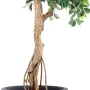 FICUS artificiel RETUSA crazy 150 cm - tronc