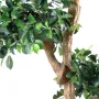 FICUS artificiel RETUSA crazy 150 cm - feuilles