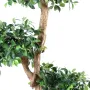 FICUS artificiel RETUSA crazy 150 cm - tronc et feuilles