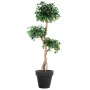 FICUS artificiel RETUSA crazy 150 cm