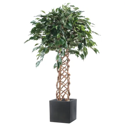 FICUS artificiel CAGE 140 et 170 cm - en pot de présentation carré