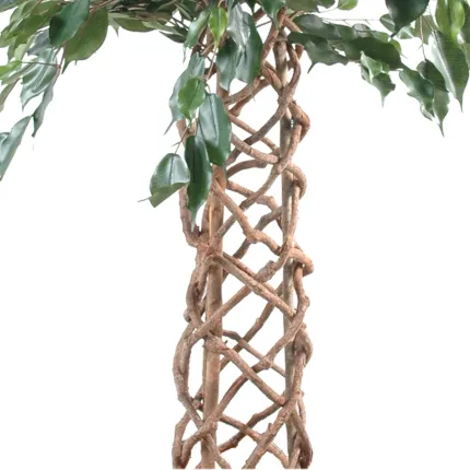 FICUS artificiel CAGE 140 et 170 cm - tronc cage