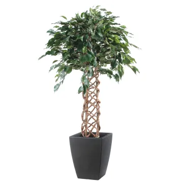 FICUS artificiel CAGE 140 et 170 cm - en pot de présentation