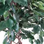 FICUS artificiel CAGE 140 et 170 cm -  feuilles