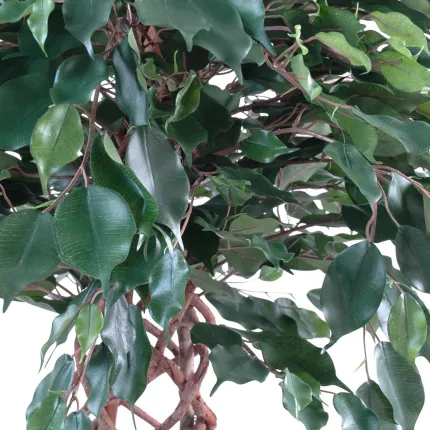 FICUS artificiel CAGE 140 et 170 cm -  feuilles