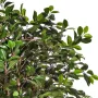 FICUS artificiel RETUSA 150 à 210 cm - feuilles