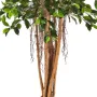 FICUS artificiel RETUSA 150 à 210 cm -  tronc