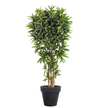 Croton artificiel GOLDFINGER Reflexa 150 et 180 cm - en pot