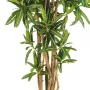 Croton artificiel GOLDFINGER Reflexa 150 et 180 cm - tronc