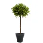 CROTON artificiel GOLDFINGER BOULE 145 cm - en pot