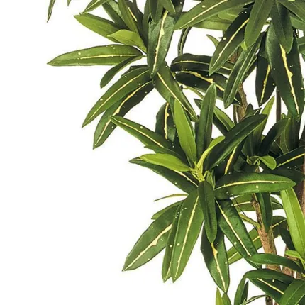 CROTON artificiel GOLDFINGER BOULE 145 cm - feuilles