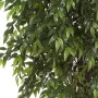 FICUS artificiel FRANCAIS LIANE de luxe 150 à 210 cm  - feuilles