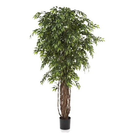 FICUS artificiel FRANCAIS LIANE de luxe 150 à 210 cm