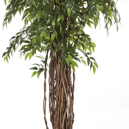 FICUS artificiel FRANCAIS LIANE de luxe 150 à 210 cm - tronc