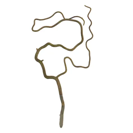 branche SAULE TORTUEUX artificiel 45 cm - entier