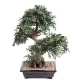 BONSAI artificiel SAULE noir ou BLACK WILLOW 70 cm