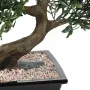 BONSAI artificiel SAULE noir ou BLACK WILLOW 50 cm - tronc et feuillage
