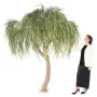 SAULE willow artificiel arbre 260 cm