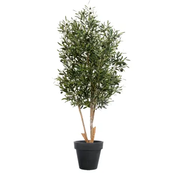 OLIVIER artificiel NEW tronc noueux 120 à 210 cm  (olives noires) - en pot