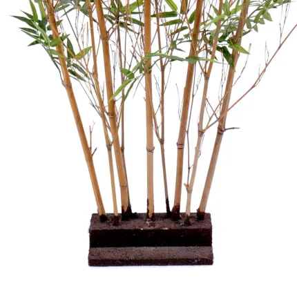 HAIE artificielle BAMBOU oriental 150 cm - socle
