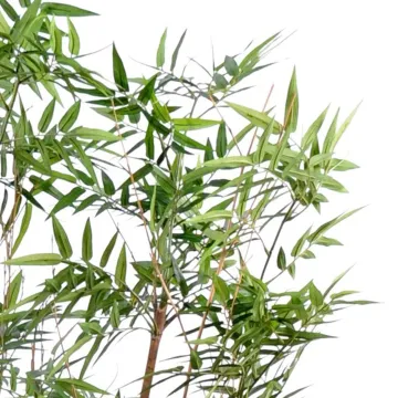 HAIE artificielle BAMBOU oriental 150 cm - feuilles