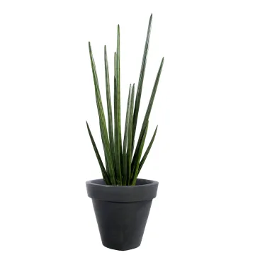 SANSEVIERIA artificiel CYLINDRICA 90 cm