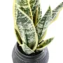 SANSEVIERIA artificielle vert jaune 49 cm en pot déco vu de profil
