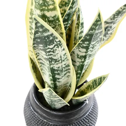 SANSEVIERIA artificielle vert jaune 49 cm en pot déco vu de profil