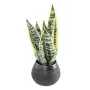 SANSEVIERIA artificielle vert jaune 49 cm en pot déco