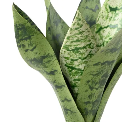 SANSEVIERIA artificiel piquet ou sanseveria 35 cm - détails