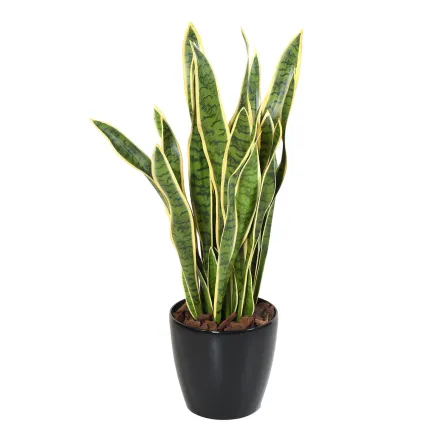 Sanseveria artificiel vert jaune ignifugé présenté en pot