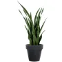 SANSEVIERIA artificiel vert 110 cm en pot