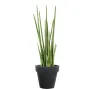 SANSEVIERIA artificiel CYLINDRICA 100 cm - en pot