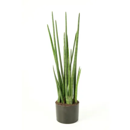 SANSEVIERIA artificiel CYLINDRICA 100 cm
