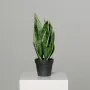 SANSEVIERIA artificiel vert 41 cm en pot sur socle