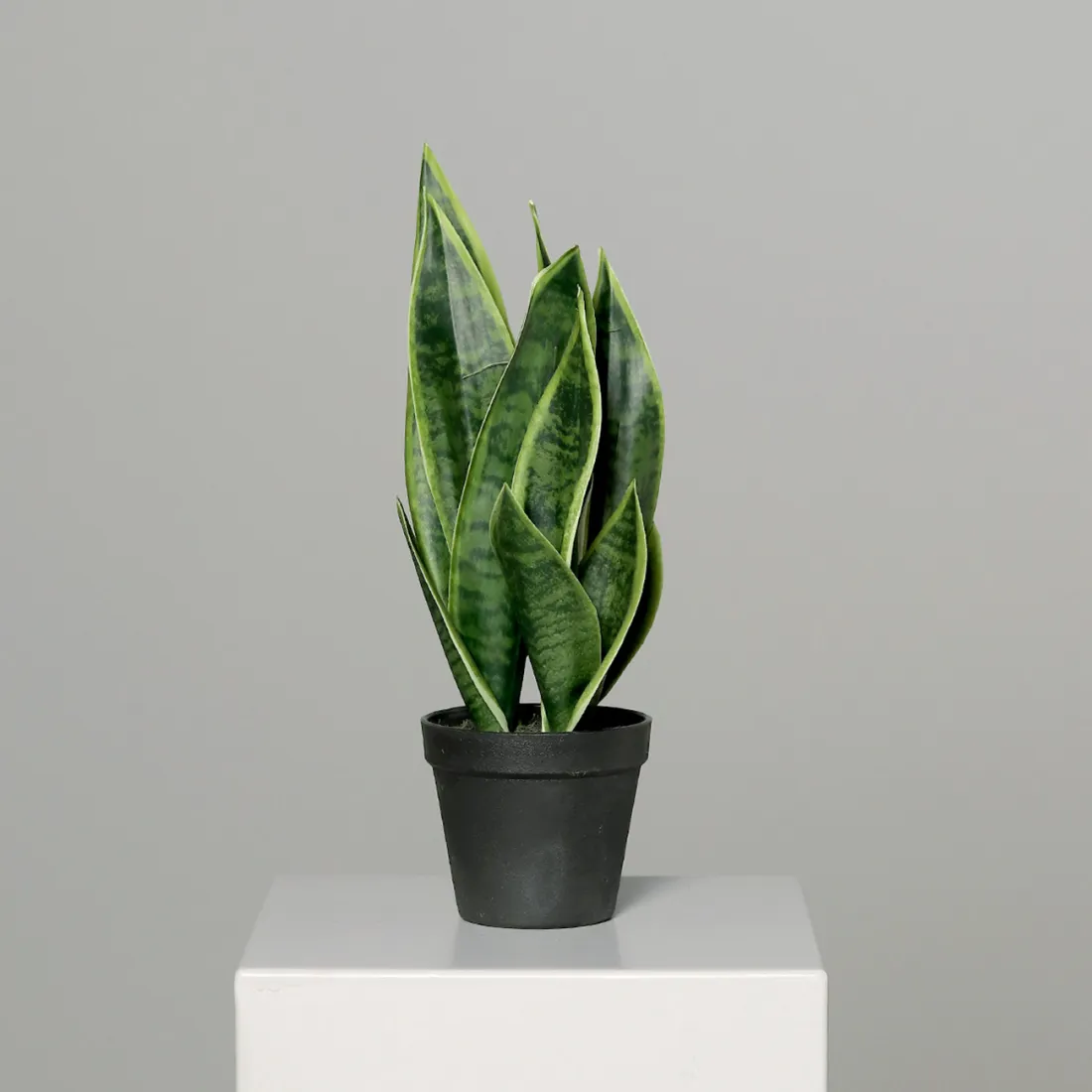 SANSEVIERIA artificiel vert 41 cm en pot sur socle