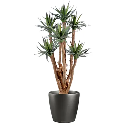 AGAVE artificiel 7 têtes 72 cm