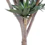 AGAVE artificiel 9 têtes 100 cm - tronc