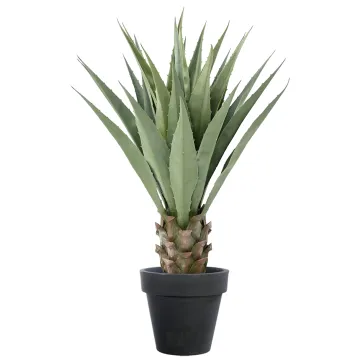 AGAVE artificiel 85 cm - en pot